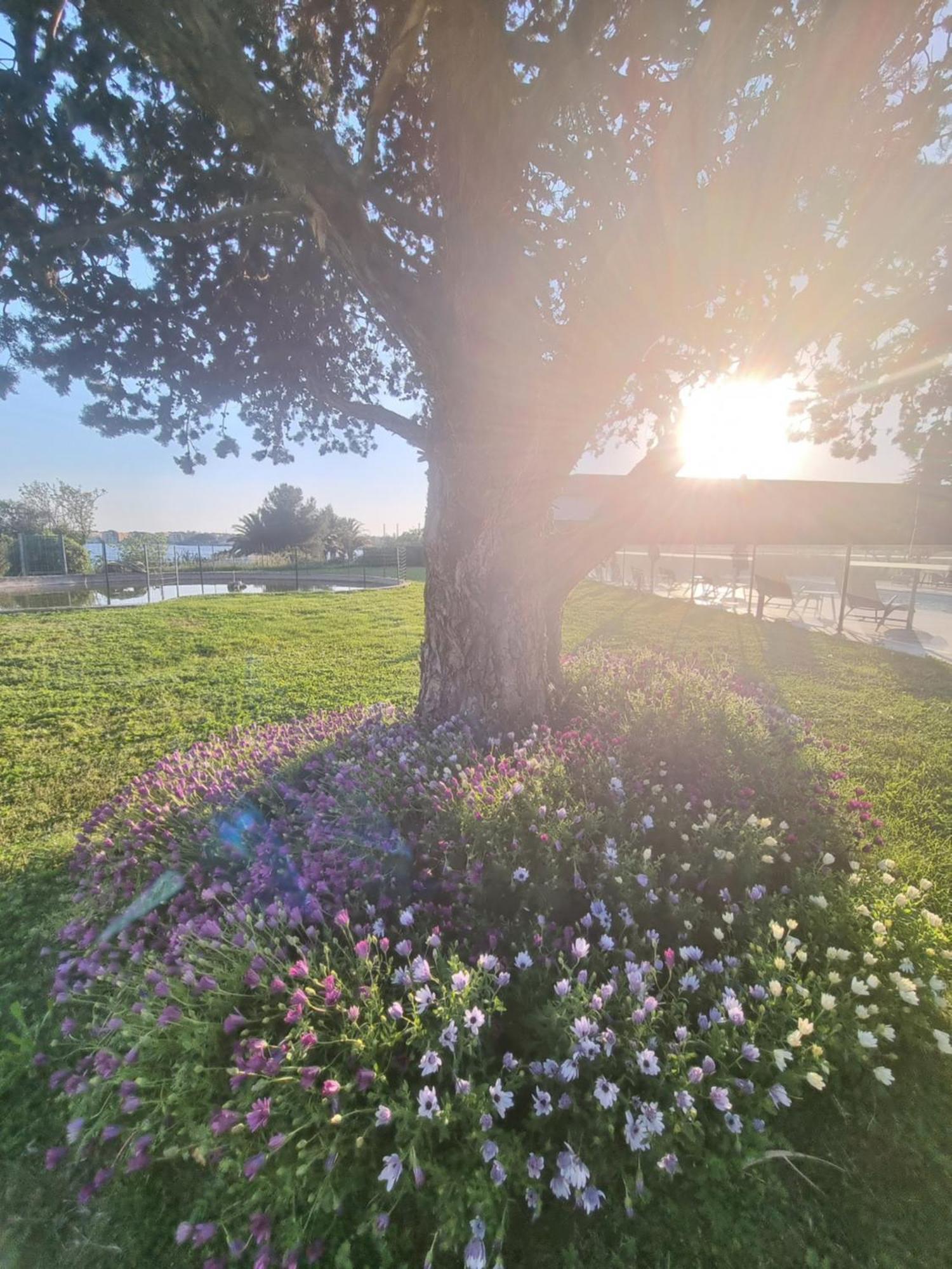Ariane Hotel Fos Sur Mer โฟส์-ซูร์-แมร์ ภายนอก รูปภาพ
